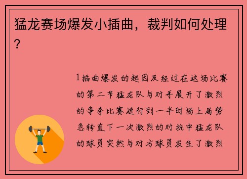 猛龙赛场爆发小插曲，裁判如何处理？