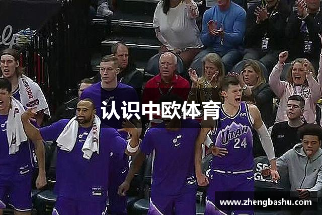 认识中欧体育